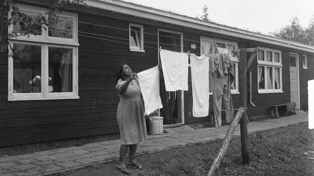 Foto van een vrouw die de was ophangt in Woonoord De Schattenberg in 1950; het voormalig kamp Westerbork. De eerste Indische Nederlanders arriveerden op 4 juli 1950 en verbleven daar tot 1951, toen het kamp werd vrijgemaakt voor Molukse bewoning. Bron: Nationaal Archief.