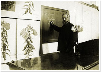 Photografic portrait of Hugo de Vries, professor of botany at the University of Amsterdam